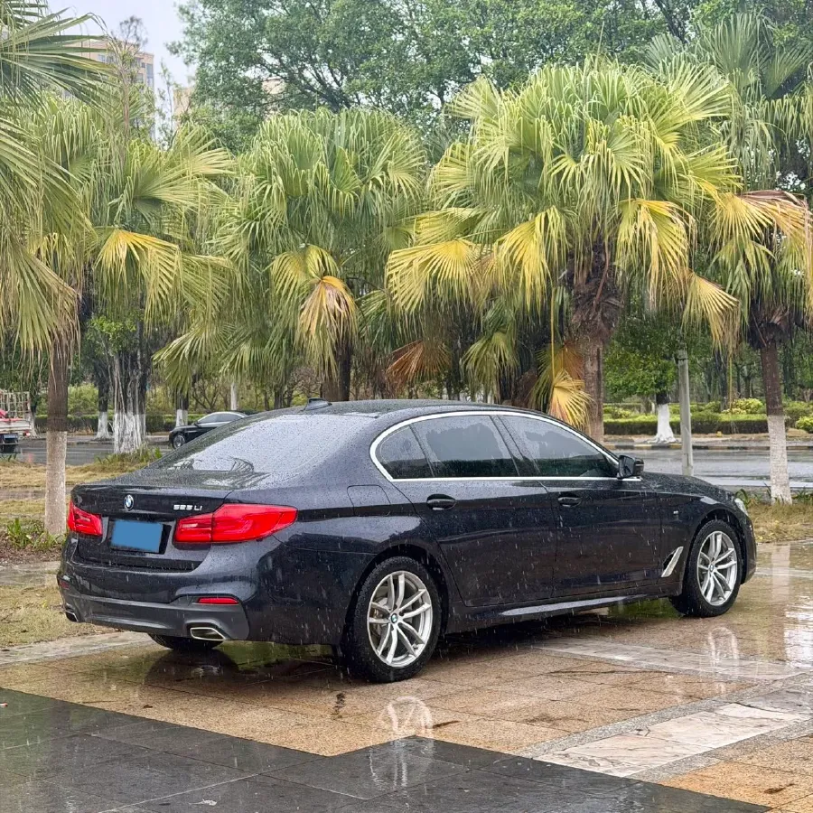 2020 BMW 5 Series 2.0T 184HP L4 8AT,autocango,china used car exporter,china ev exporter,chinese used car exporter,chinese used ev exporter