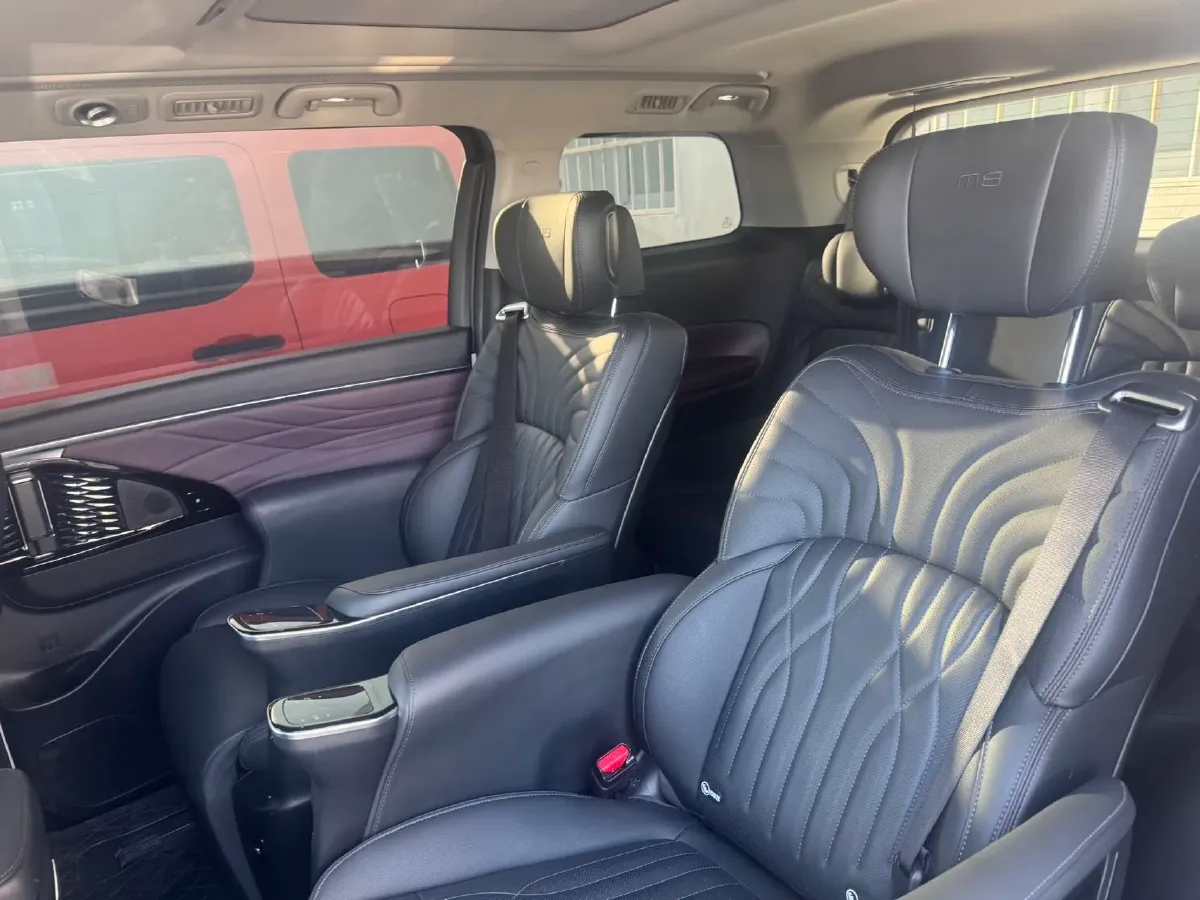 2024 GAC Trumpchi M8 2.0T 252HP L4 8AT,autocango,china used car exporter,china ev exporter,chinese used car exporter,chinese used ev exporter