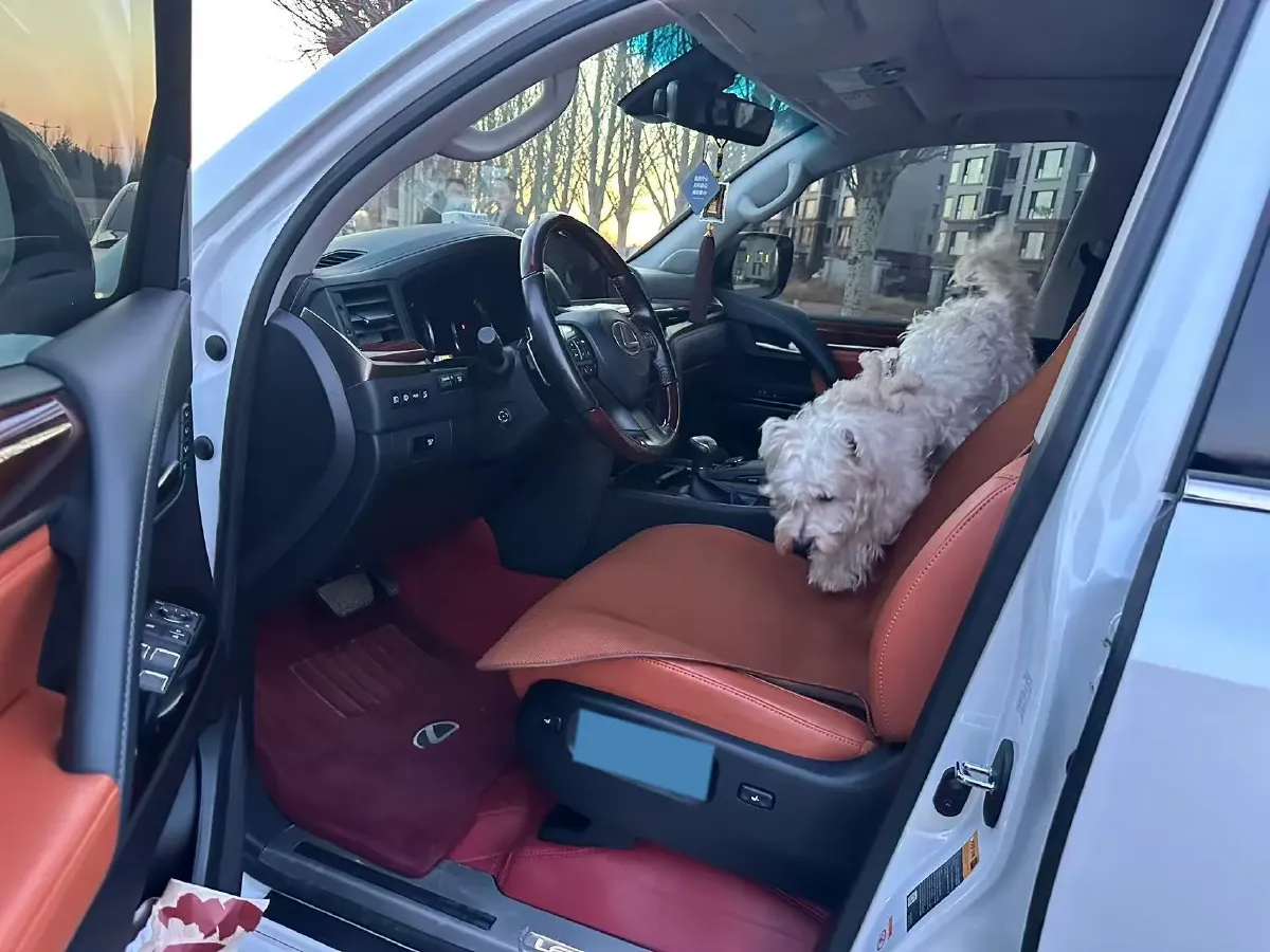 2017 Lexus LX 5.7L 367HP V8 8AT,autocango,china used car exporter,china ev exporter,chinese used car exporter,chinese used ev exporter