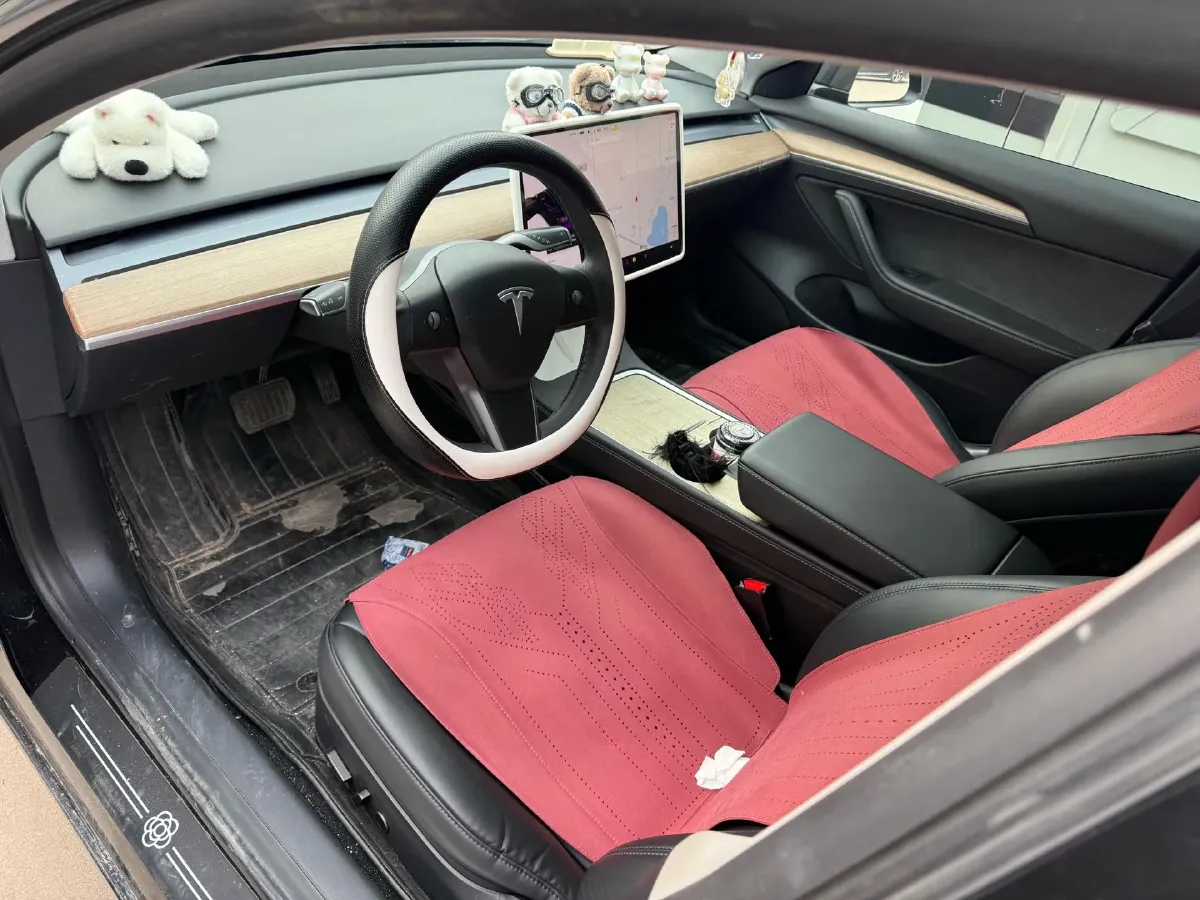 2021 Tesla Model 3 BEV 55KWH,autocango,china used car exporter,china ev exporter,chinese used car exporter,chinese used ev exporter