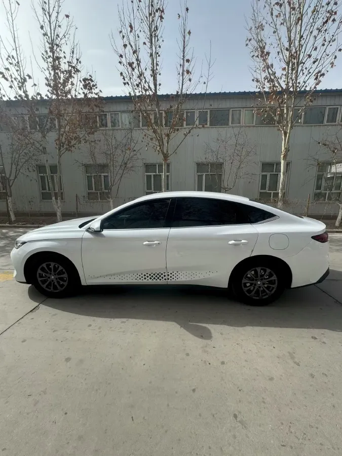 2024 BYD QinL 1.5L 101HP L4 E-CVT PHEV 10.08KWH,autocango,china used car exporter,china ev exporter,chinese used car exporter,chinese used ev exporter