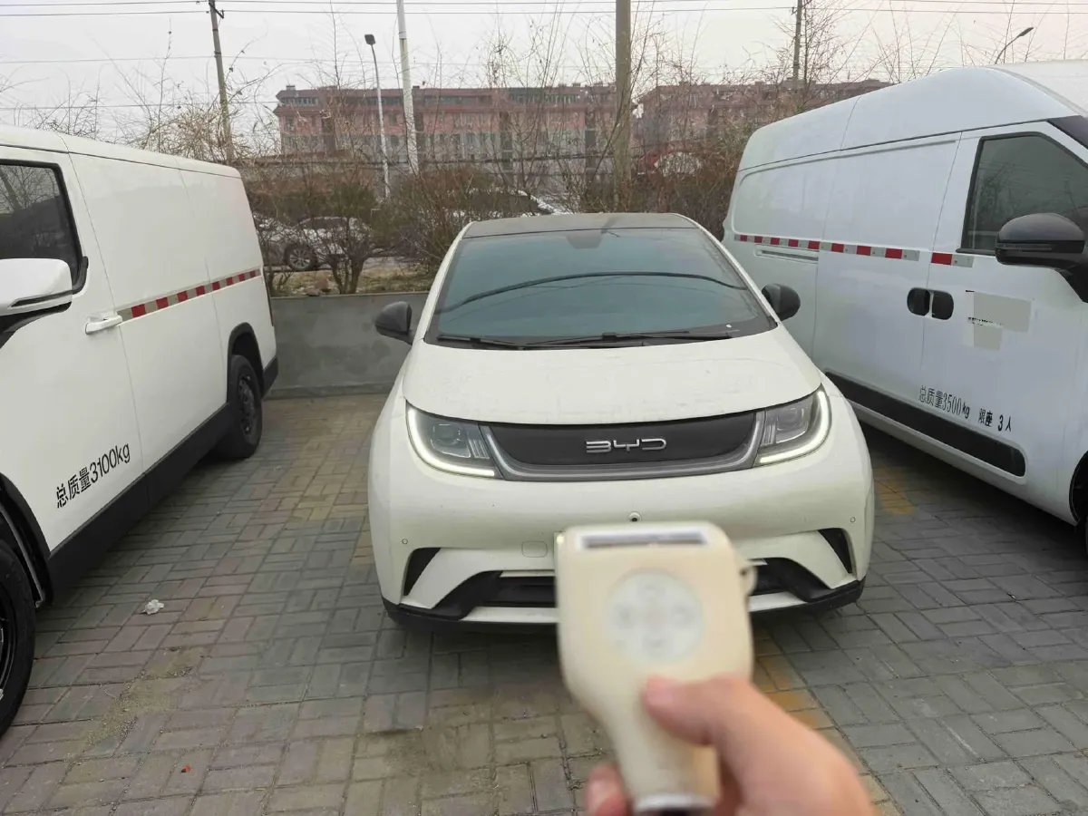 2023 BYD Dolphin BEV 44.928KWH,autocango,china used car exporter,china ev exporter,chinese used car exporter,chinese used ev exporter