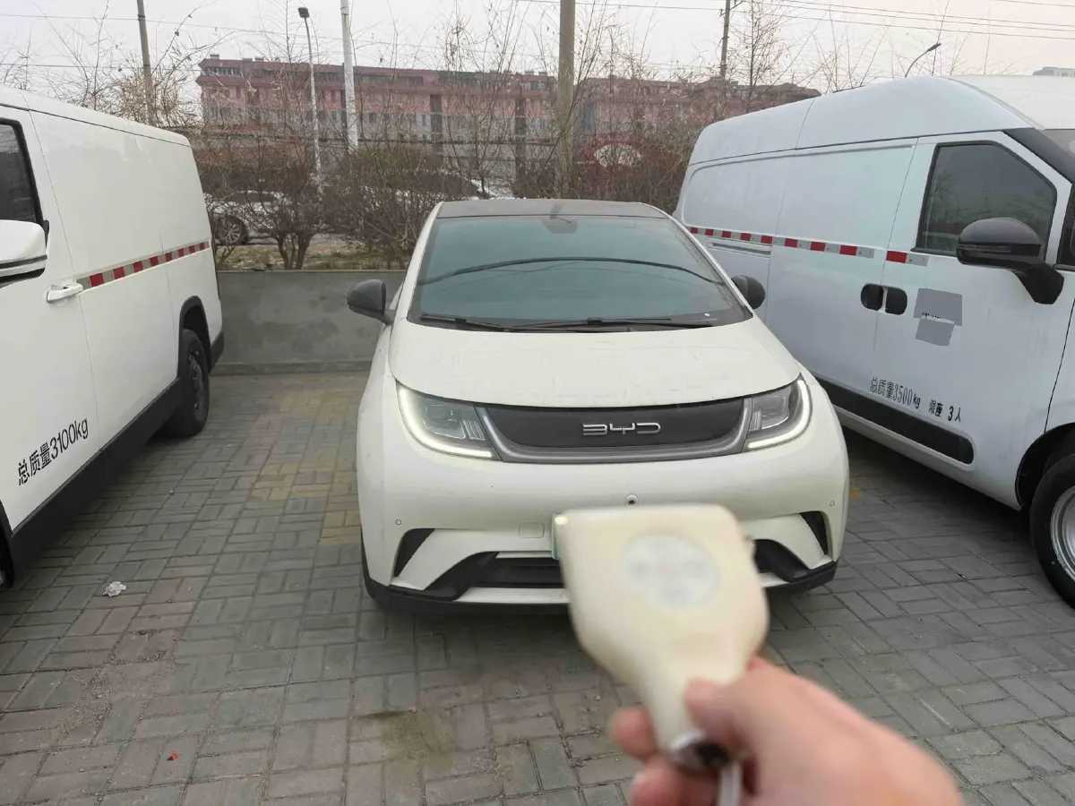 2023 BYD Dolphin BEV 44.928KWH,autocango,china used car exporter,china ev exporter,chinese used car exporter,chinese used ev exporter