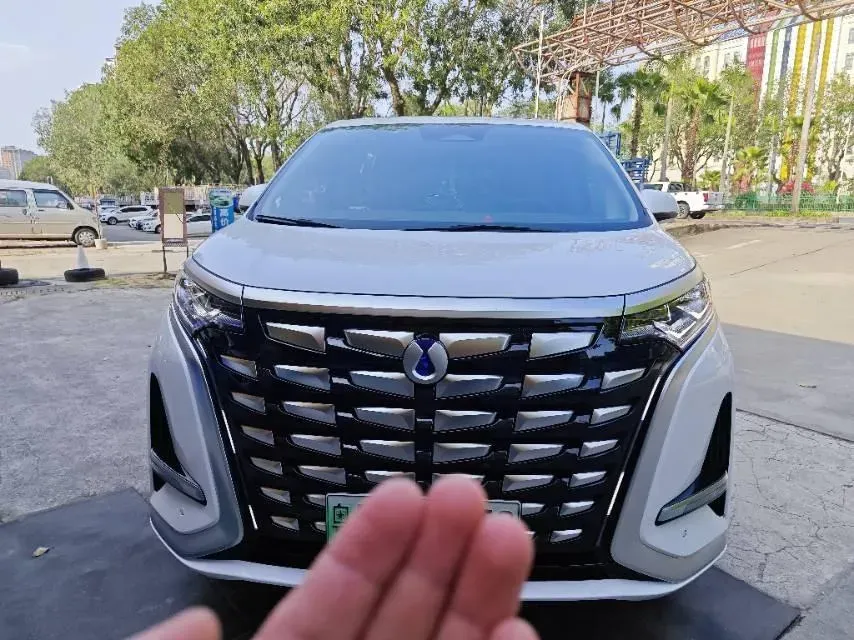 2024 Denza D9 1.5T 139HP L4 E-CVT PHEV 40KWH,autocango,china used car exporter,china ev exporter,chinese used car exporter,chinese used ev exporter