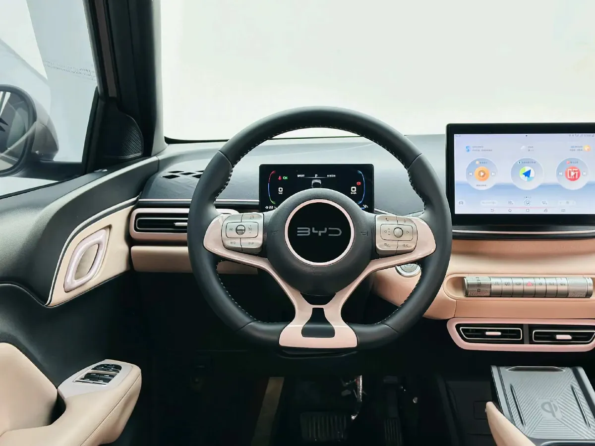 2024 BYD Seagull BEV 30.08KWH,autocango,china used car exporter,china ev exporter,chinese used car exporter,chinese used ev exporter