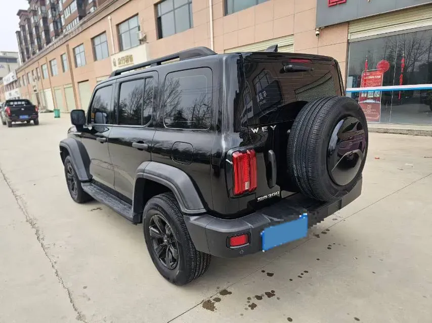 2021 Tank 300 2.0T 227HP L4 8AT,autocango,china used car exporter,china ev exporter,chinese used car exporter,chinese used ev exporter