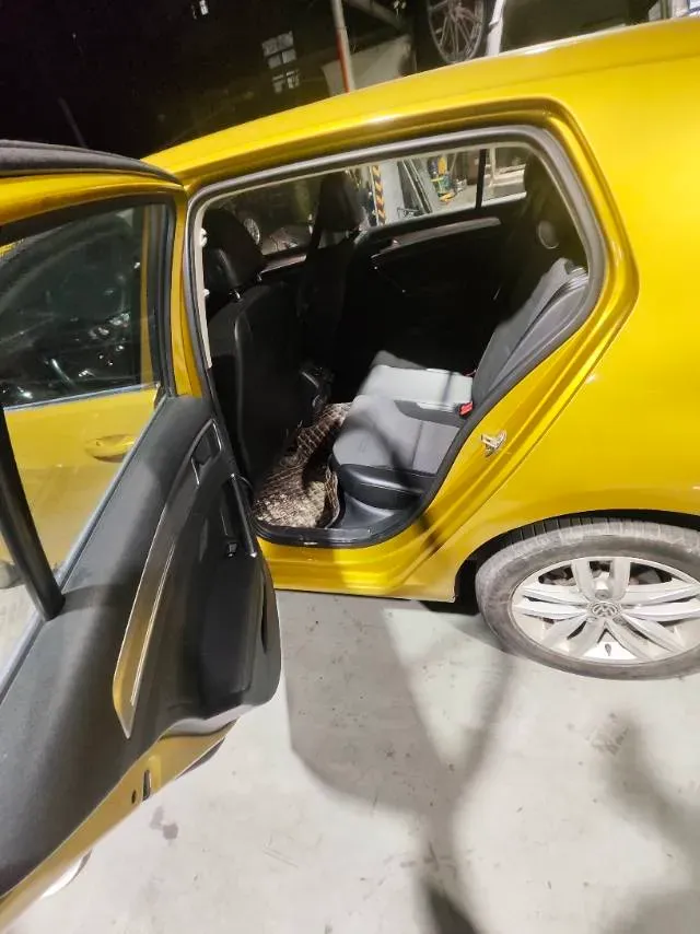 2018 Volkswagen Golf 1.6L 110HP L4 6AT,autocango,china used car exporter,china ev exporter,chinese used car exporter,chinese used ev exporter