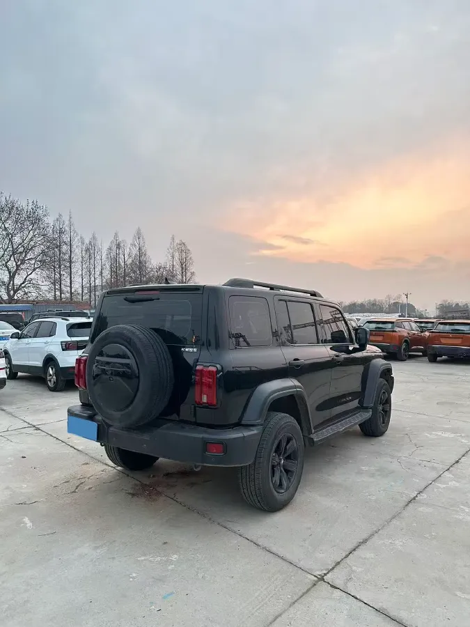 2023 Tank 300 2.0T 227HP L4 8AT,autocango,china used car exporter,china ev exporter,chinese used car exporter,chinese used ev exporter