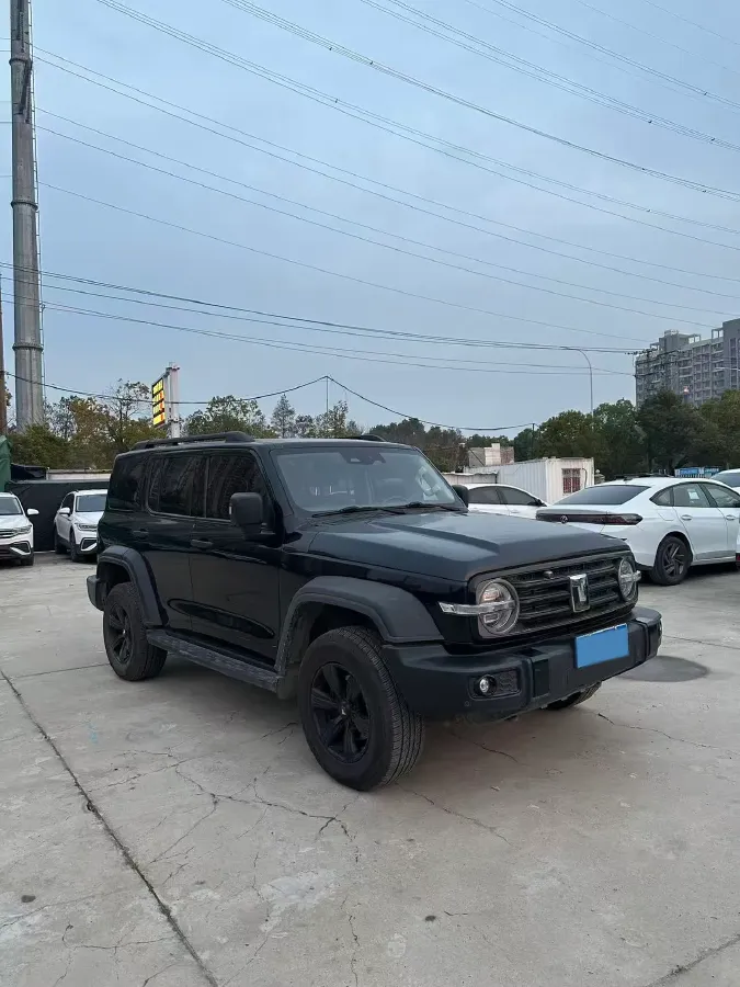 2023 Tank 300 2.0T 227HP L4 8AT,autocango,china used car exporter,china ev exporter,chinese used car exporter,chinese used ev exporter
