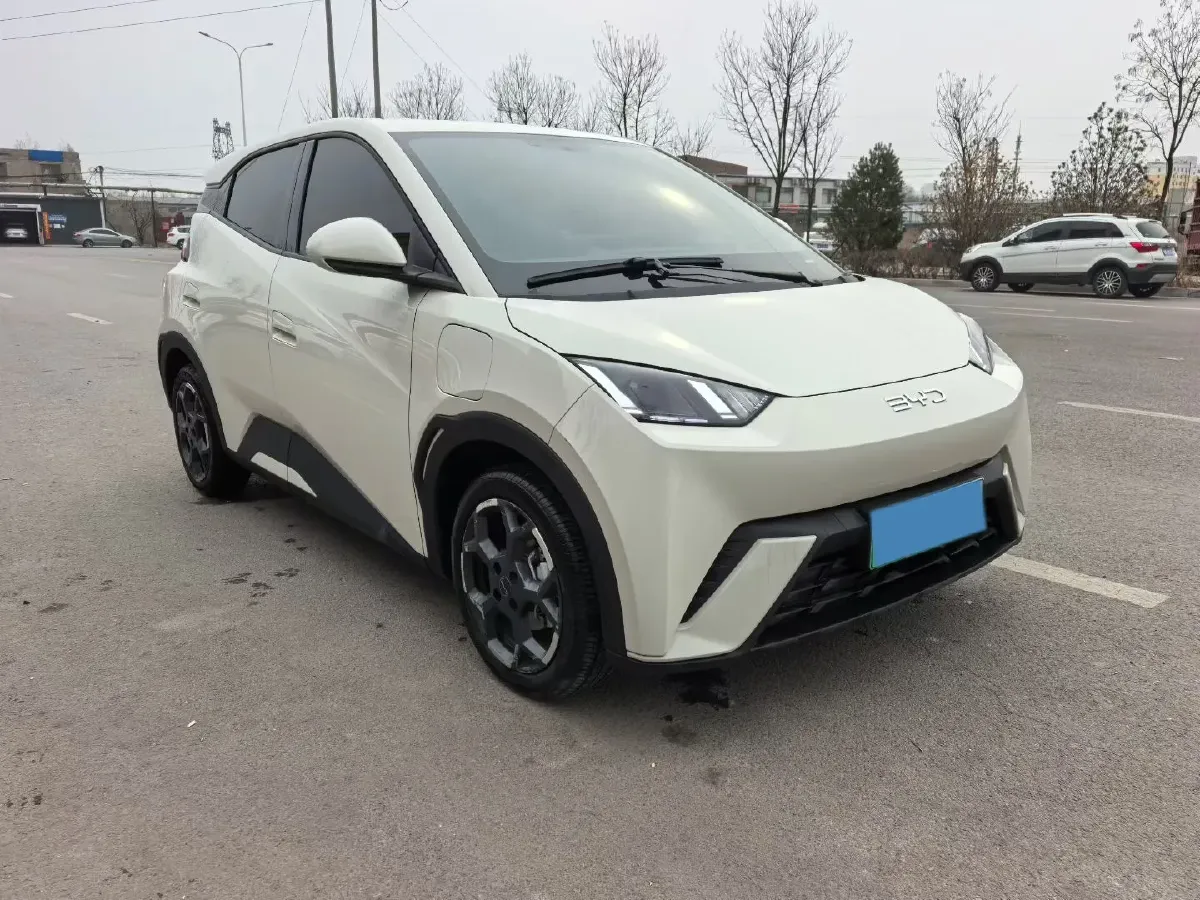 2025 BYD Seagull BEV 38.88KWH,autocango,china used car exporter,china ev exporter,chinese used car exporter,chinese used ev exporter