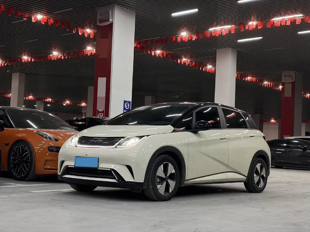 2023 BYD Dolphin BEV 44.928KWH,autocango,china used car exporter,china ev exporter,chinese used car exporter,chinese used ev exporter
