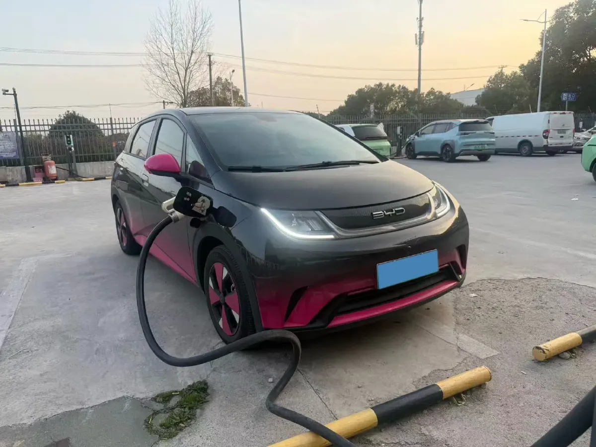2023 BYD Dolphin BEV 44.928KWH,autocango,china used car exporter,china ev exporter,chinese used car exporter,chinese used ev exporter