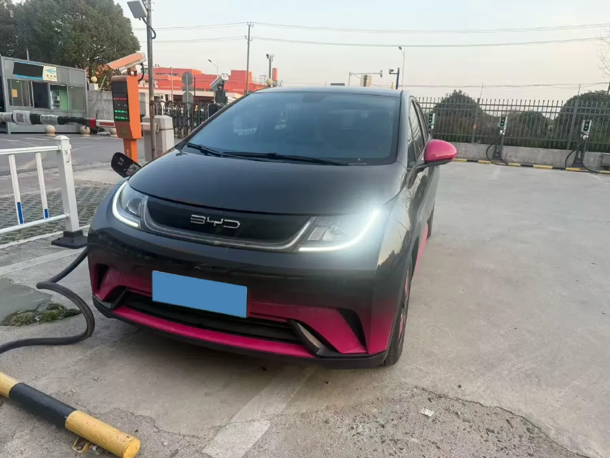 2023 BYD Dolphin BEV 44.928KWH,autocango,china used car exporter,china ev exporter,chinese used car exporter,chinese used ev exporter
