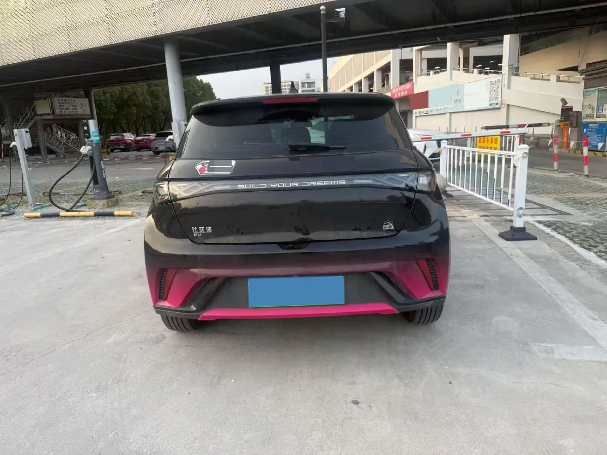 2023 BYD Dolphin BEV 44.928KWH,autocango,china used car exporter,china ev exporter,chinese used car exporter,chinese used ev exporter