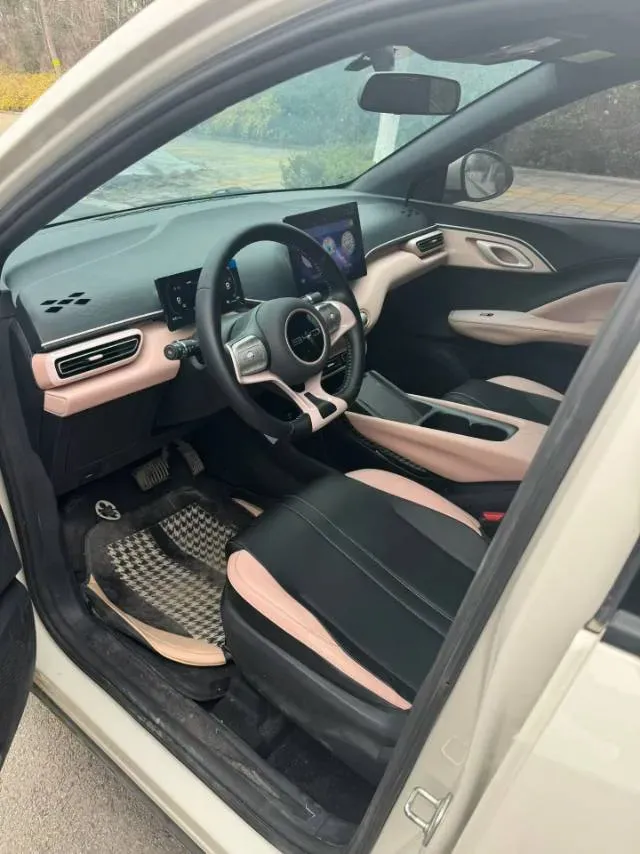 2023 BYD Seagull BEV 30.08KWH,autocango,china used car exporter,china ev exporter,chinese used car exporter,chinese used ev exporter