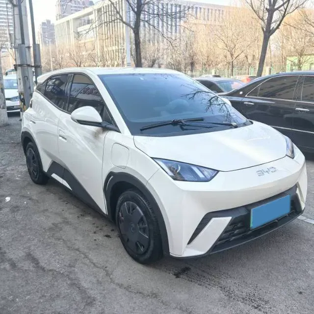 2023 BYD Seagull BEV 30.08KWH,autocango,china used car exporter,china ev exporter,chinese used car exporter,chinese used ev exporter