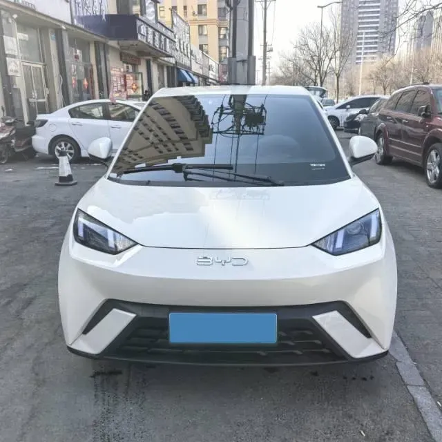 2023 BYD Seagull BEV 30.08KWH,autocango,china used car exporter,china ev exporter,chinese used car exporter,chinese used ev exporter