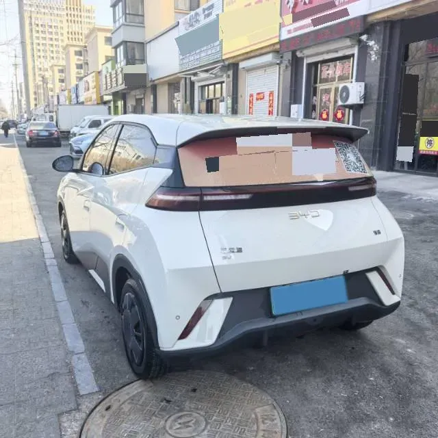 2023 BYD Seagull BEV 30.08KWH,autocango,china used car exporter,china ev exporter,chinese used car exporter,chinese used ev exporter