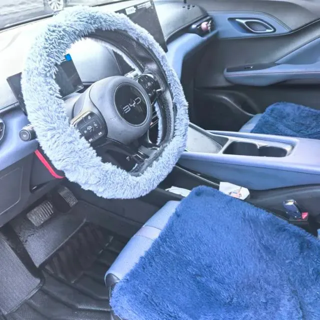 2023 BYD Seagull BEV 30.08KWH,autocango,china used car exporter,china ev exporter,chinese used car exporter,chinese used ev exporter