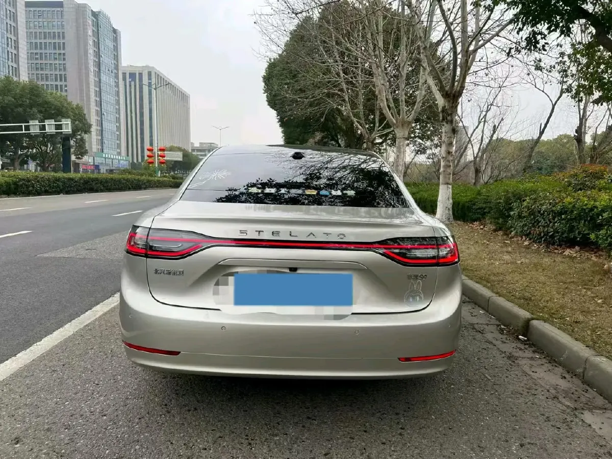 2024 HIMA Stelato S9 BEV 100KWH,autocango,china used car exporter,china ev exporter,chinese used car exporter,chinese used ev exporter