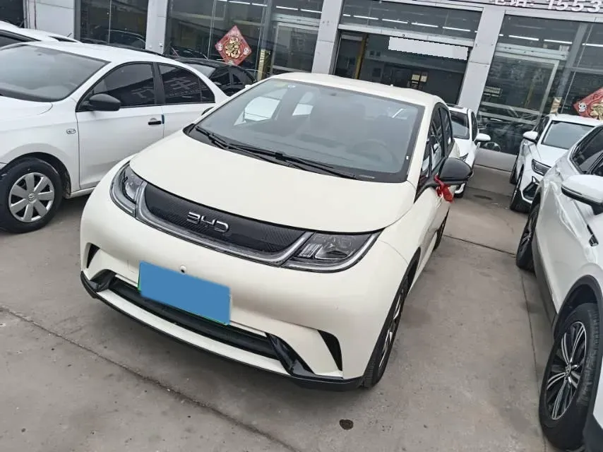 2025 BYD Dolphin BEV 44.928KWH,autocango,china used car exporter,china ev exporter,chinese used car exporter,chinese used ev exporter