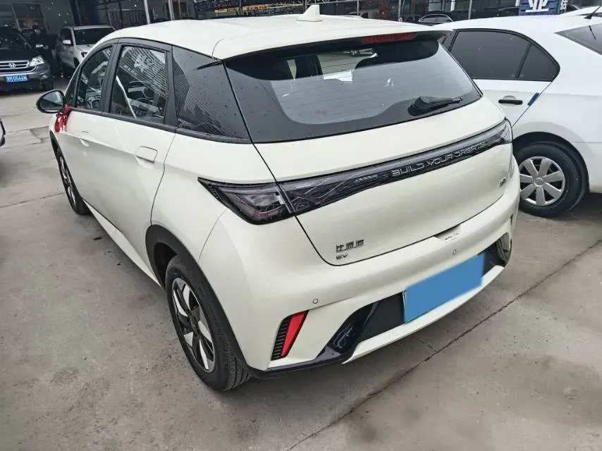 2025 BYD Dolphin BEV 44.928KWH,autocango,china used car exporter,china ev exporter,chinese used car exporter,chinese used ev exporter