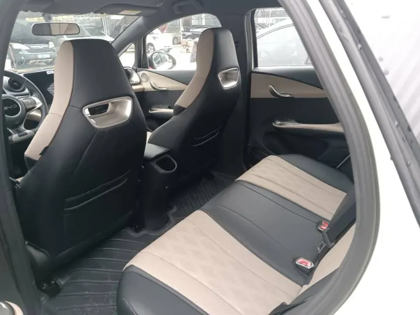 2025 BYD Dolphin BEV 44.928KWH,autocango,china used car exporter,china ev exporter,chinese used car exporter,chinese used ev exporter