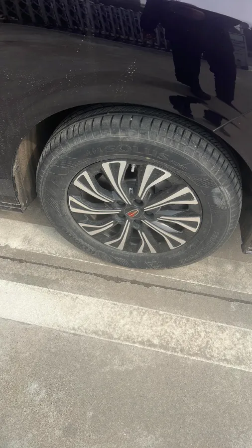 2024 HongQi HQ9 2.0T 163HP L4 1DHT PHEV 20.14KWH,autocango,china used car exporter,china ev exporter,chinese used car exporter,chinese used ev exporter