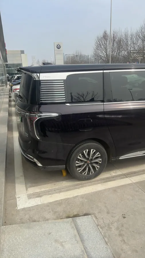 2024 HongQi HQ9 2.0T 163HP L4 1DHT PHEV 20.14KWH,autocango,china used car exporter,china ev exporter,chinese used car exporter,chinese used ev exporter