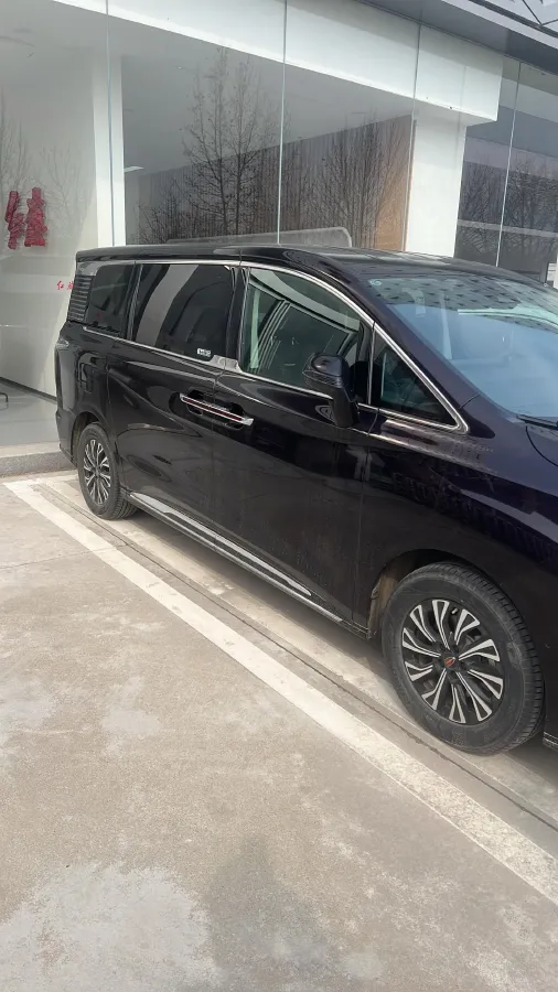 2024 HongQi HQ9 2.0T 163HP L4 1DHT PHEV 20.14KWH,autocango,china used car exporter,china ev exporter,chinese used car exporter,chinese used ev exporter