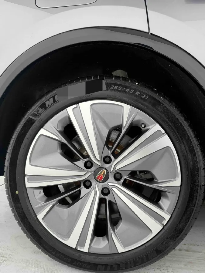 2021 HongQi E-HS9 BEV 84KWH,autocango,china used car exporter,china ev exporter,chinese used car exporter,chinese used ev exporter