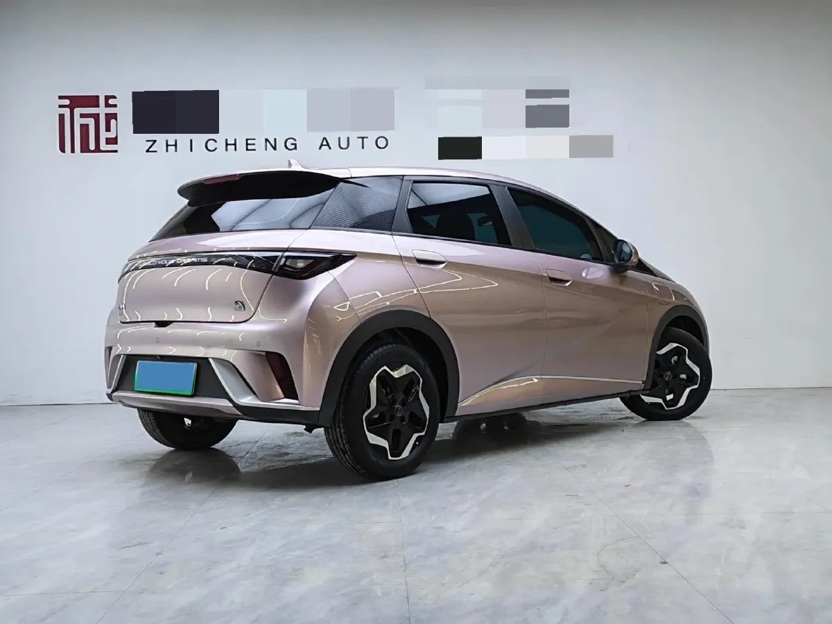 2021 BYD Yuan Pro BEV 50.1KWH,autocango,china used car exporter,china ev exporter,chinese used car exporter,chinese used ev exporter