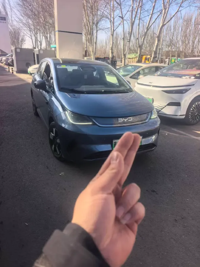 2025 BYD Dolphin BEV 45.12KWH,autocango,china used car exporter,china ev exporter,chinese used car exporter,chinese used ev exporter