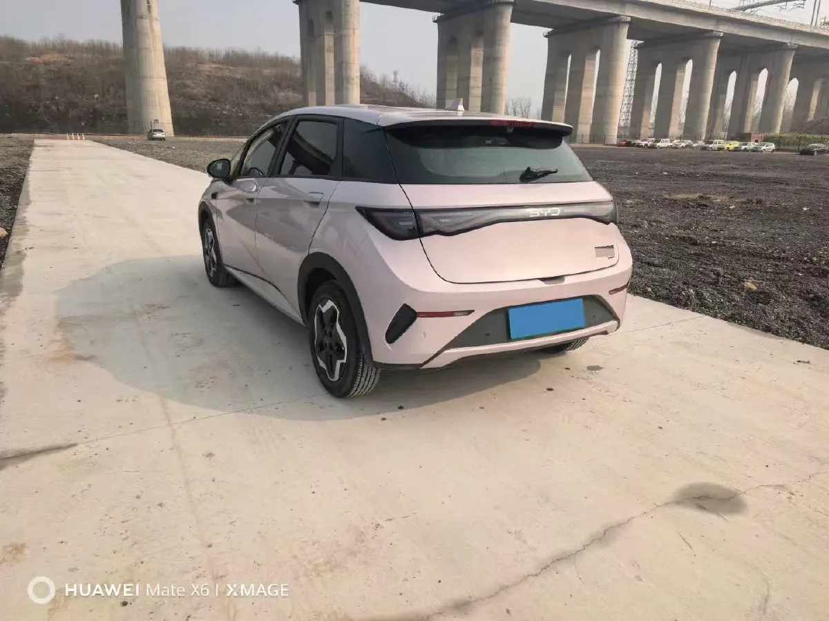 2025 BYD Dolphin BEV 45.12KWH,autocango,china used car exporter,china ev exporter,chinese used car exporter,chinese used ev exporter