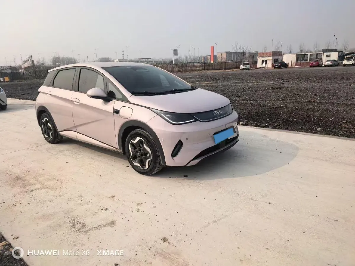 2025 BYD Dolphin BEV 45.12KWH,autocango,china used car exporter,china ev exporter,chinese used car exporter,chinese used ev exporter