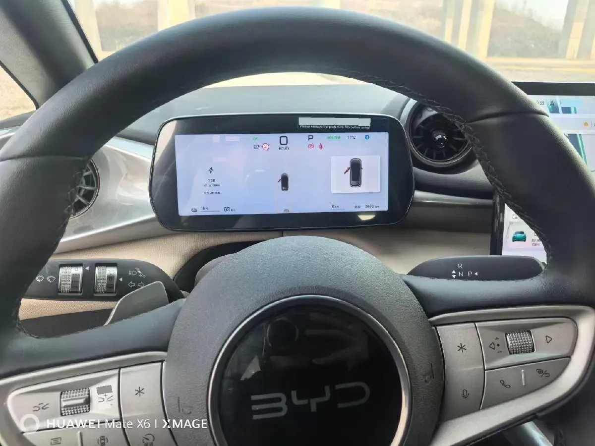 2025 BYD Dolphin BEV 45.12KWH,autocango,china used car exporter,china ev exporter,chinese used car exporter,chinese used ev exporter