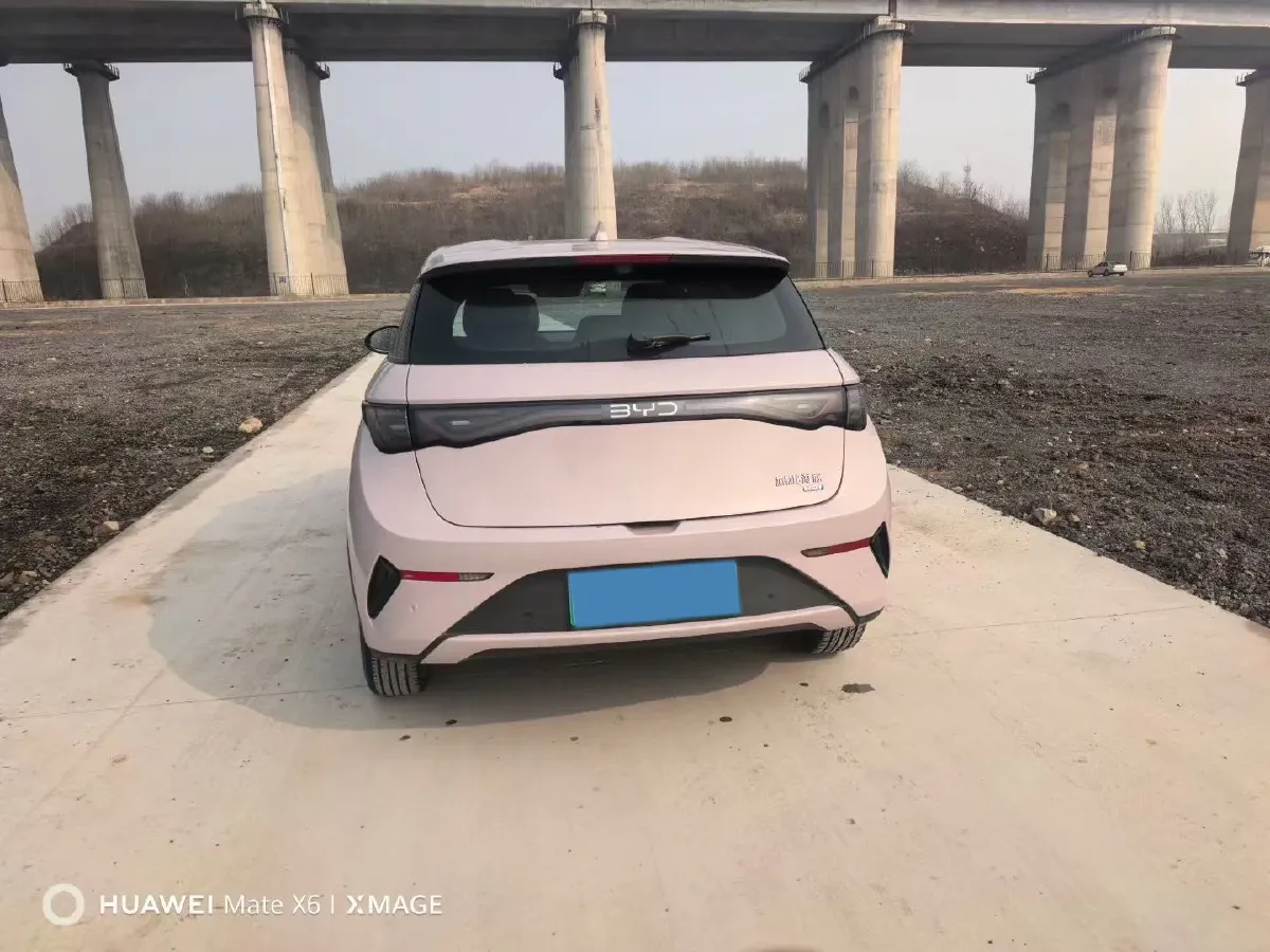 2025 BYD Dolphin BEV 45.12KWH,autocango,china used car exporter,china ev exporter,chinese used car exporter,chinese used ev exporter