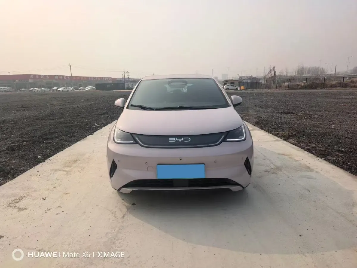 2025 BYD Dolphin BEV 45.12KWH,autocango,china used car exporter,china ev exporter,chinese used car exporter,chinese used ev exporter