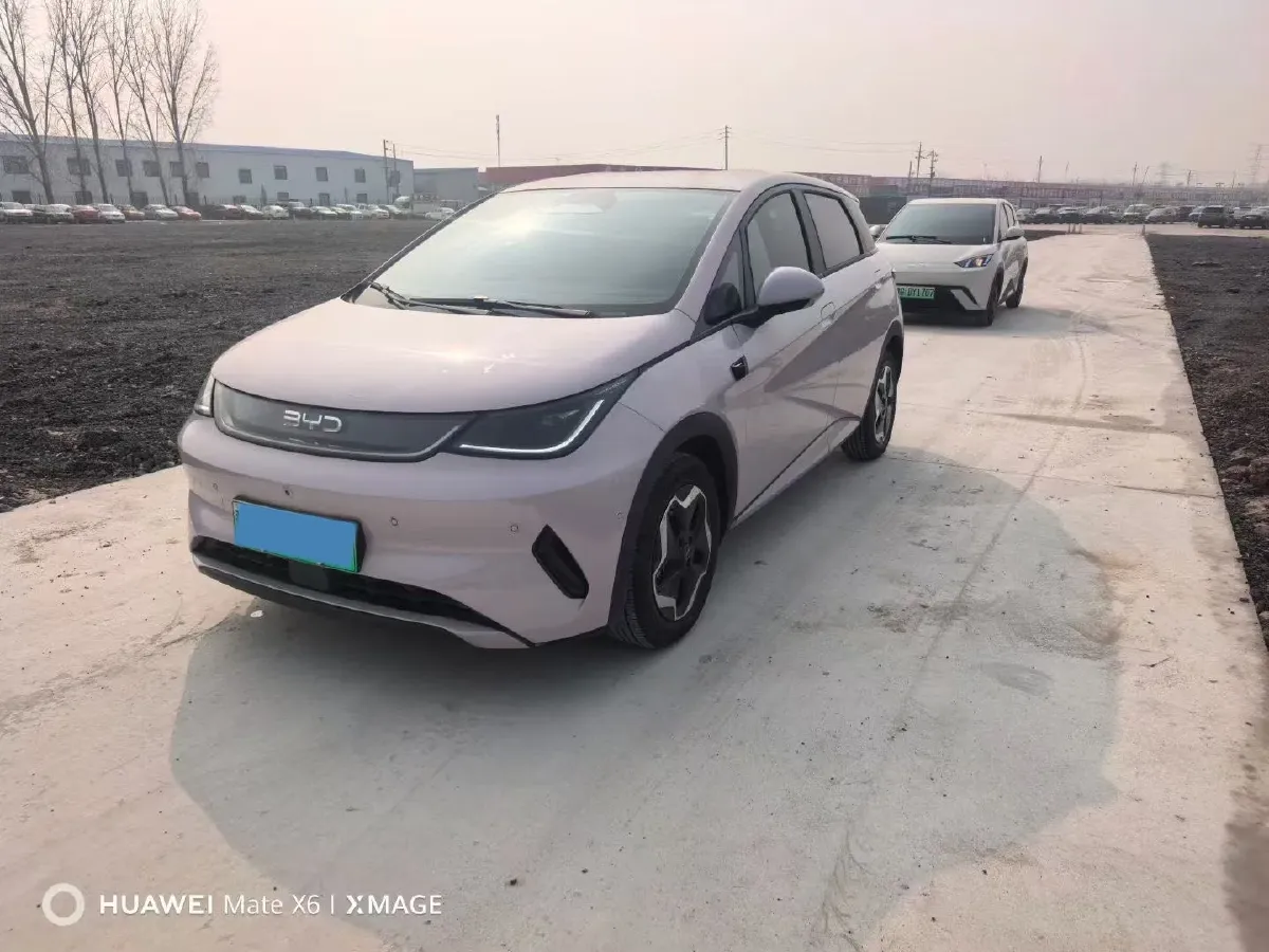 2025 BYD Dolphin BEV 45.12KWH,autocango,china used car exporter,china ev exporter,chinese used car exporter,chinese used ev exporter