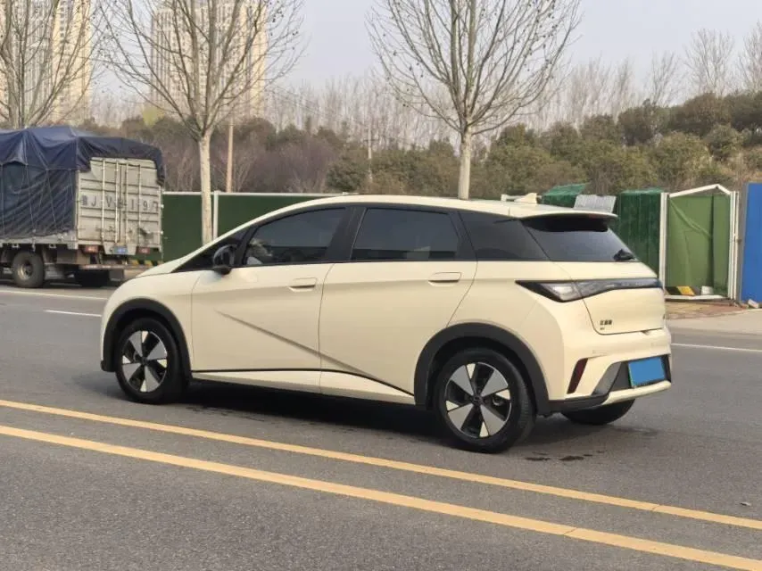 2023 BYD Dolphin BEV 44.928KWH,autocango,china used car exporter,china ev exporter,chinese used car exporter,chinese used ev exporter