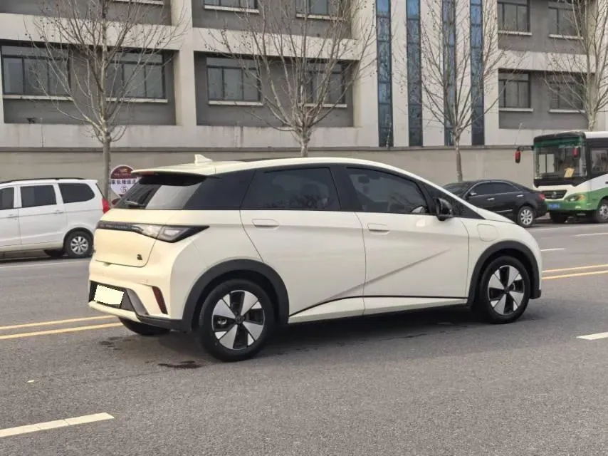 2023 BYD Dolphin BEV 44.928KWH,autocango,china used car exporter,china ev exporter,chinese used car exporter,chinese used ev exporter
