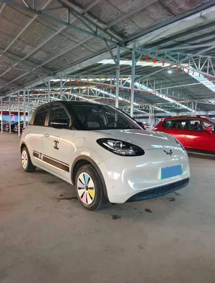 2024 WuLing BinGuo BEV 17.3KWH,autocango,china used car exporter,china ev exporter,chinese used car exporter,chinese used ev exporter