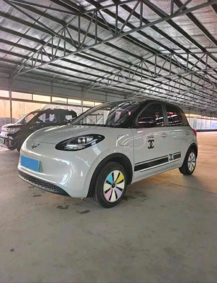 2024 WuLing BinGuo BEV 17.3KWH,autocango,china used car exporter,china ev exporter,chinese used car exporter,chinese used ev exporter