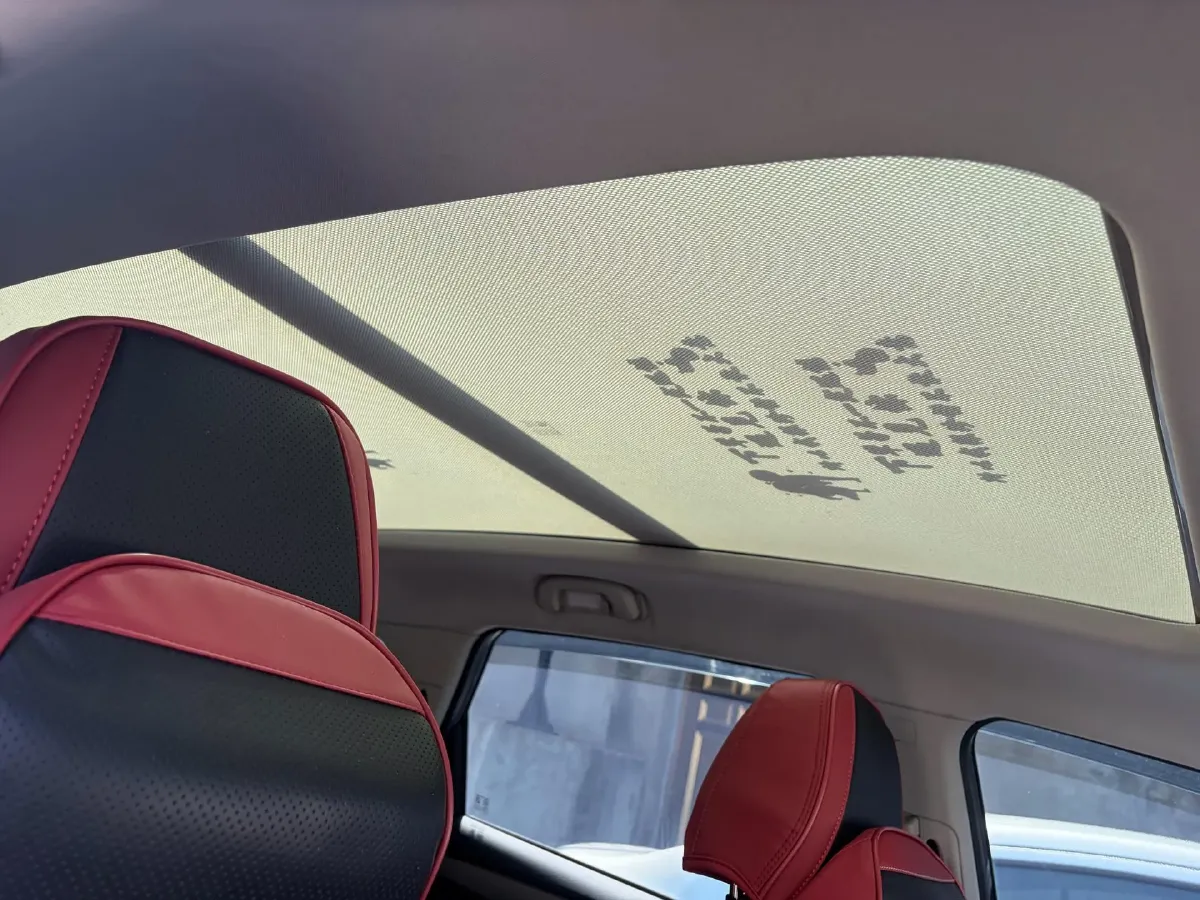 2020 Dongfeng YuFeng P16 2.4T 218HP L4 6MT,autocango,china used car exporter,china ev exporter,chinese used car exporter,chinese used ev exporter