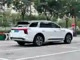 2021 HongQi E-HS9 BEV 99KWH