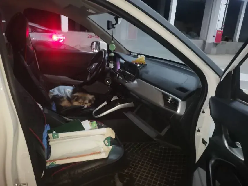 2020 JMEV E200L BEV,autocango,china used car exporter,china ev exporter,chinese used car exporter,chinese used ev exporter