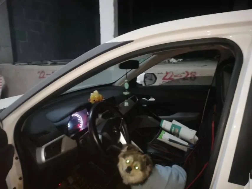 2020 JMEV E200L BEV,autocango,china used car exporter,china ev exporter,chinese used car exporter,chinese used ev exporter