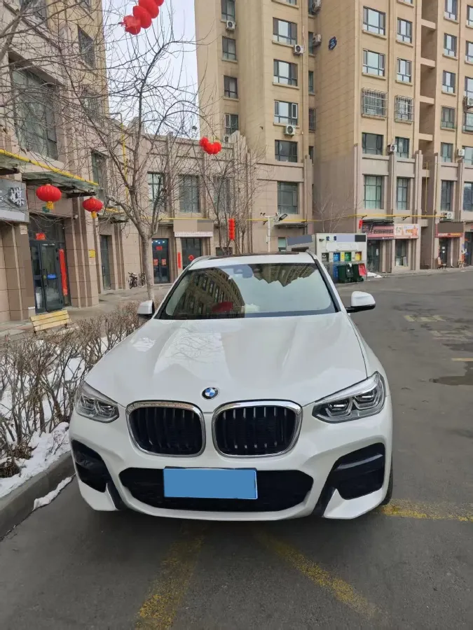 2020 BMW X3 2.0T 224HP L4 8AT,autocango,china used car exporter,china ev exporter,chinese used car exporter,chinese used ev exporter
