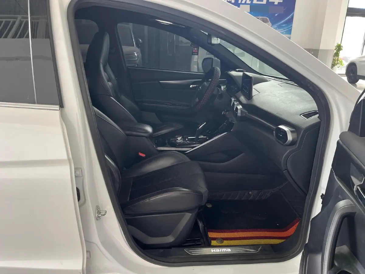 2020 HaiMa 8S 1.6T 195HP L4 6AT,autocango,china used car exporter,china ev exporter,chinese used car exporter,chinese used ev exporter
