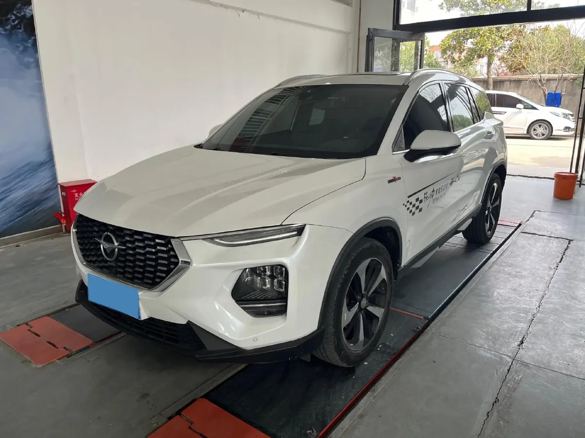 2020 HaiMa 8S 1.6T 195HP L4 6AT,autocango,china used car exporter,china ev exporter,chinese used car exporter,chinese used ev exporter